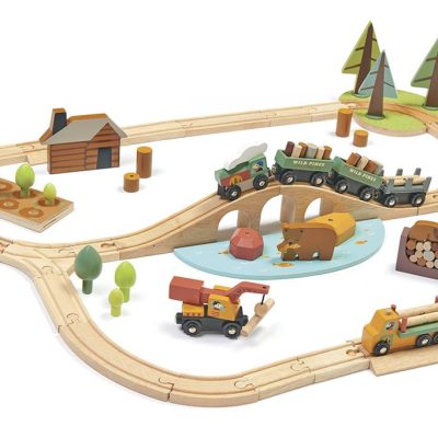 Tender Leaf Toys : mon premier train