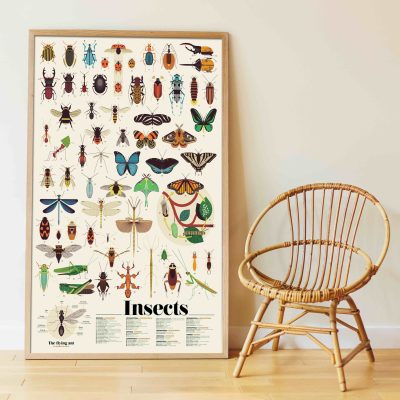 Poppik : poster géant les insectes