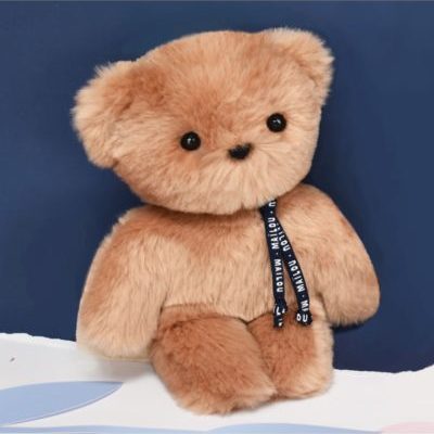 Mailou : le Petit Frenchie ours français